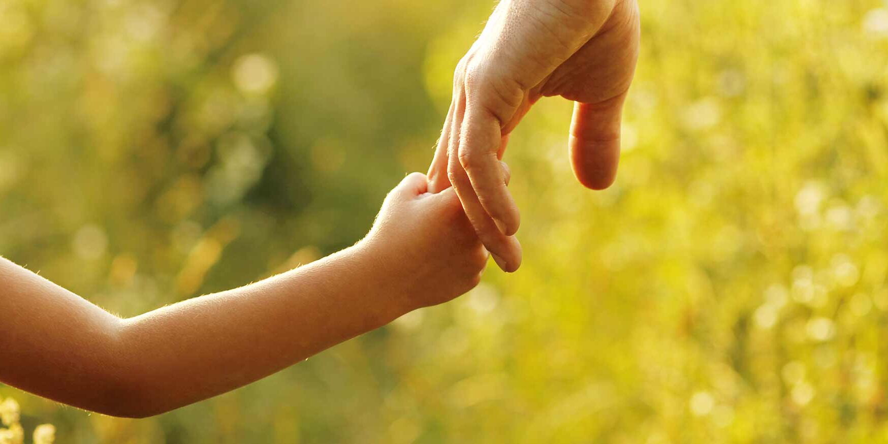 Einvernehmliche Lösungen sind unser Ziel. Zum Wohle aller Beteiligten!